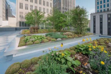 Cool roof et biodiversité : un impact positif sur l'écosystème urbain