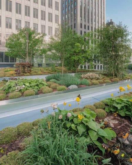 Cool roof et biodiversité : un impact positif sur l'écosystème urbain